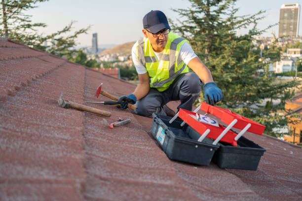 Best Yard Waste Removal  in Roanoke, IN